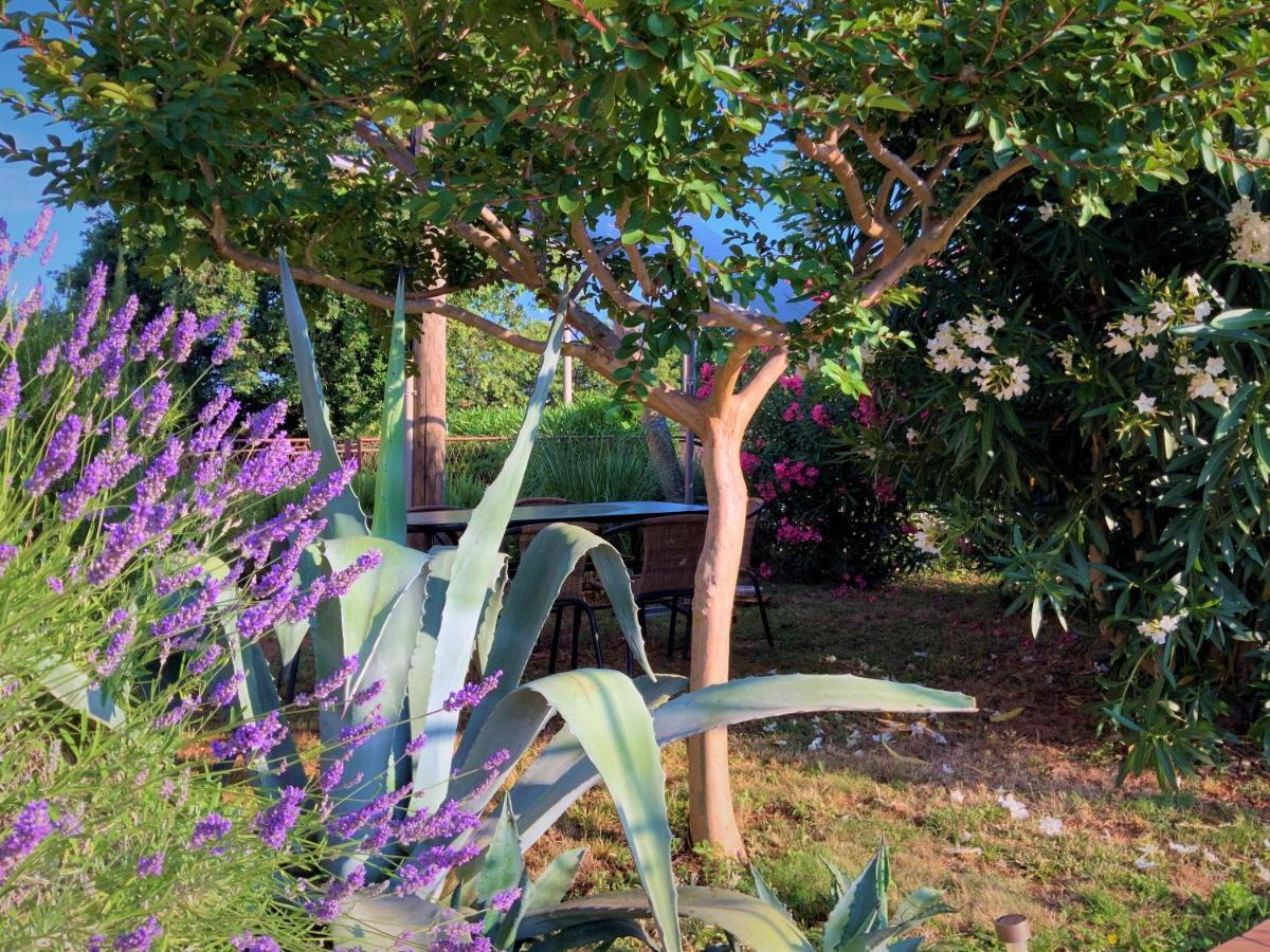 Apartment Agava Istria - Family Vacation Rental With Free Parking, Garden, Wifi Ližnjan Εξωτερικό φωτογραφία