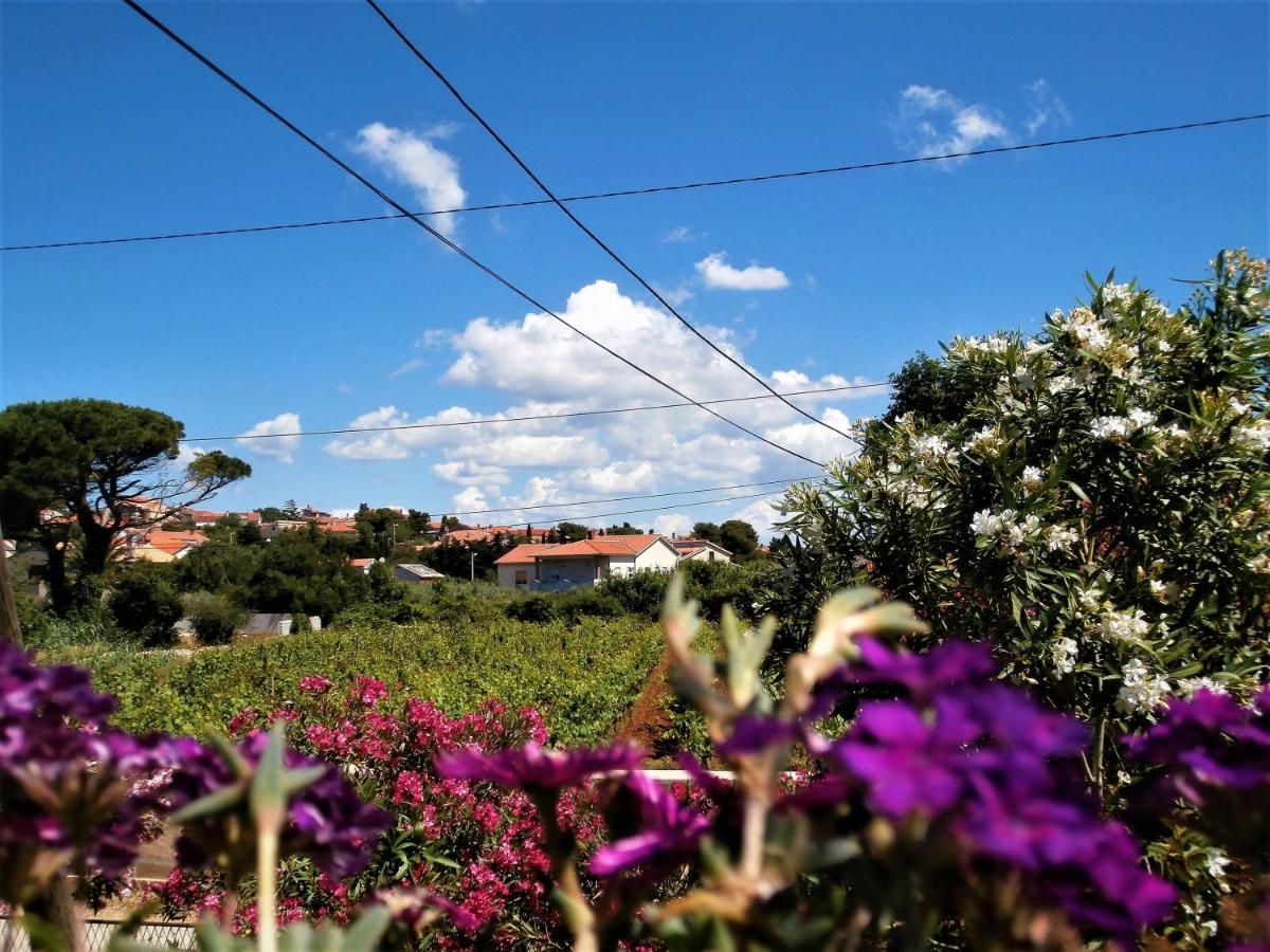 Apartment Agava Istria - Family Vacation Rental With Free Parking, Garden, Wifi Ližnjan Εξωτερικό φωτογραφία