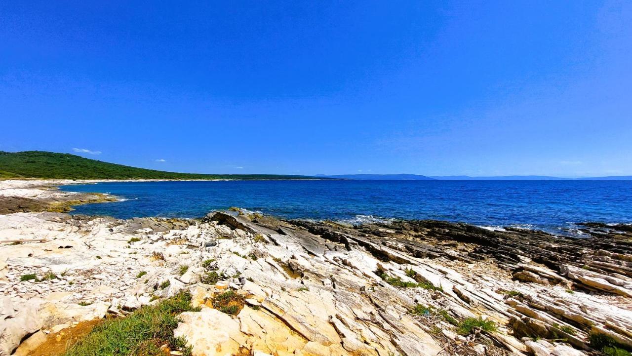 Apartment Agava Istria - Family Vacation Rental With Free Parking, Garden, Wifi Ližnjan Εξωτερικό φωτογραφία